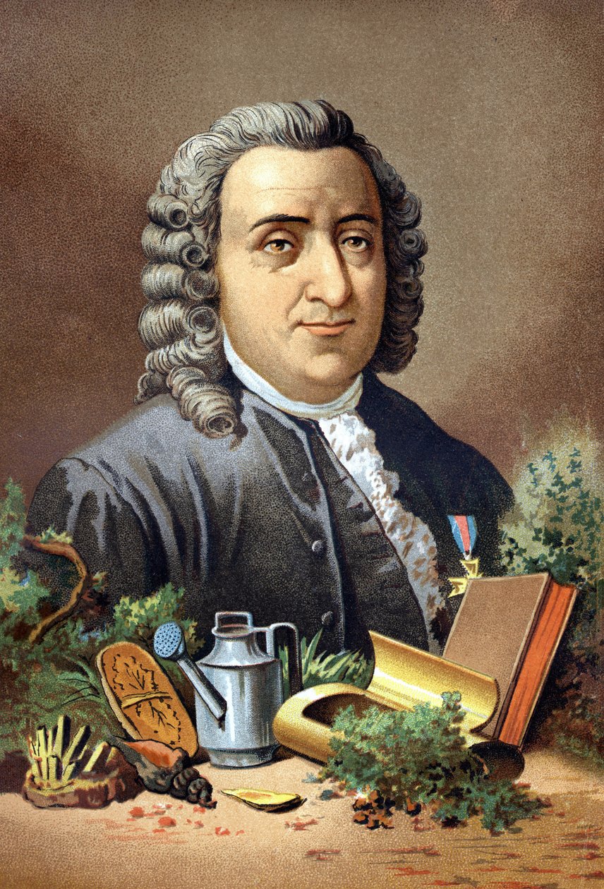 Carl Von Linné švédský přírodovědec a spisovatel (1707 - 1778) podle knihy „Věda a její muži“ od Louise Figuiera. Barcelona 1881 od Unknown artist