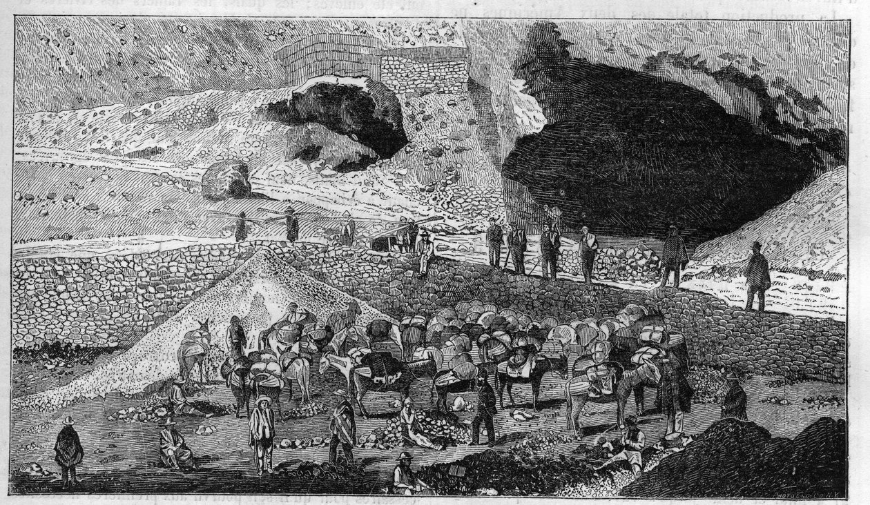 Stříbrný důl Cerro de Pasco v Peru: doprava rudy na zadní straně Mulet. Gravírování do ""La Nature"" od Unknown artist