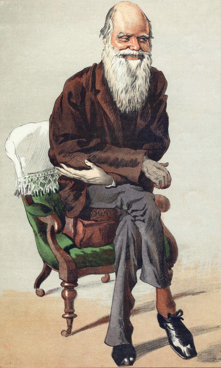 Charles Darwin (1809 - 1882), ilustrace v „Vanity Fair“ z 30. září od Unknown artist