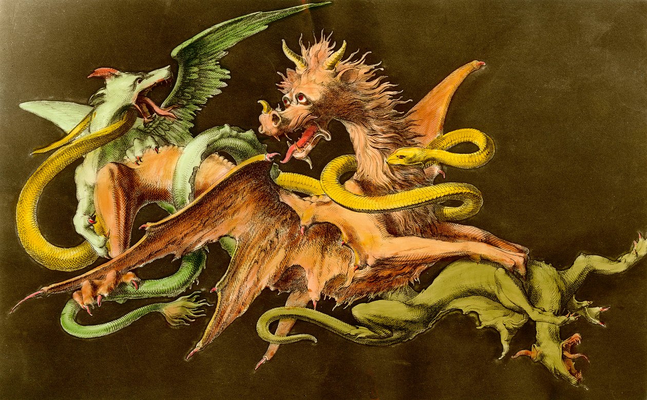 Chimeres Drak bojující se dvěma monstry. Rytina z 19. století. od Unknown artist