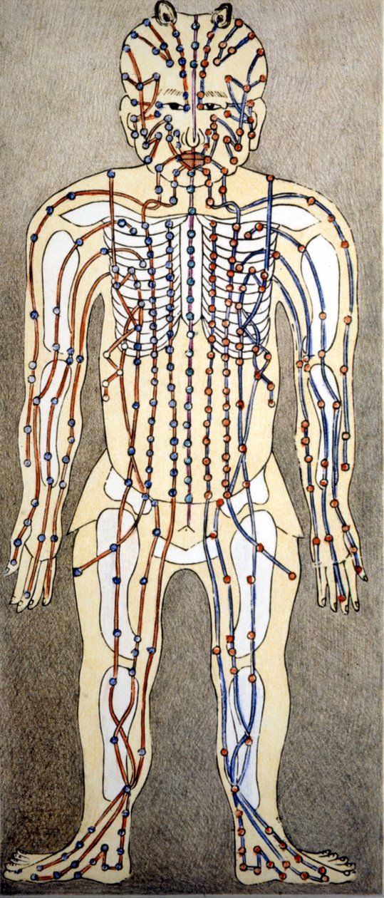 Čínská medicína. Proudy těla, kde aplikovat akupunkturu. 19. století. od Unknown artist