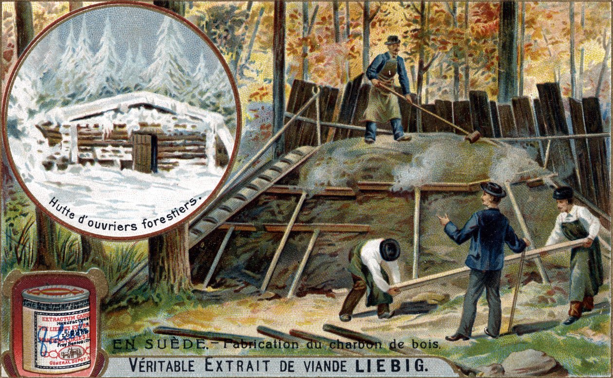 Chromolitografie, Liebigův snímek. od Unknown artist