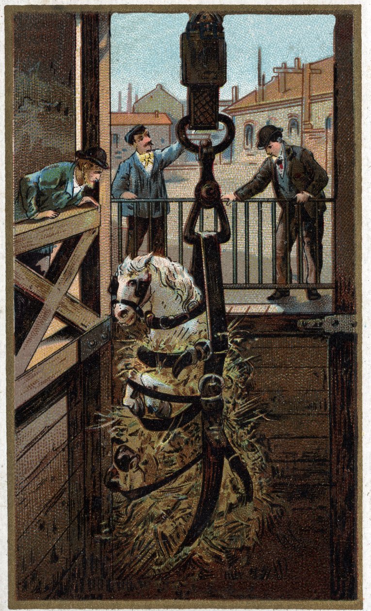 Chromolitografie konce 19. století od Unknown artist