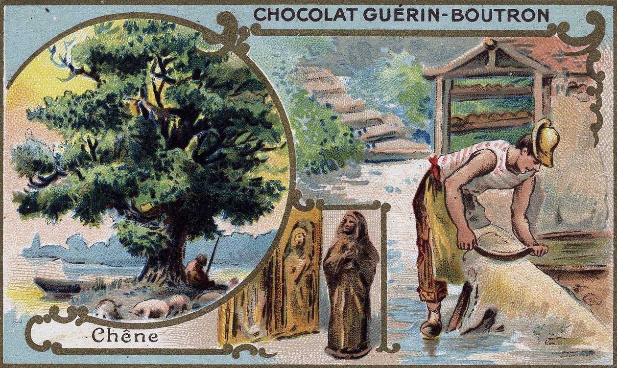Chromolitografické balení čokolád Guérin Boutron. 19. století. od Unknown artist