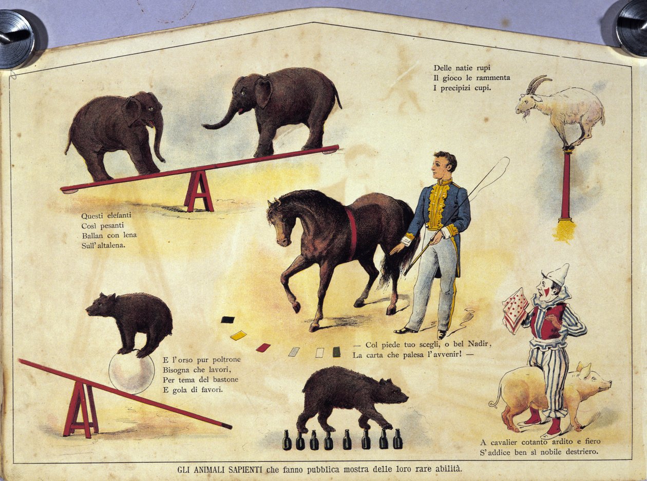 Cirkus: deska představující různé typy představení učených zvířat se slony, kozou, medvědem, koňmi a prasetem. Ilustrace 19. století od Unknown artist