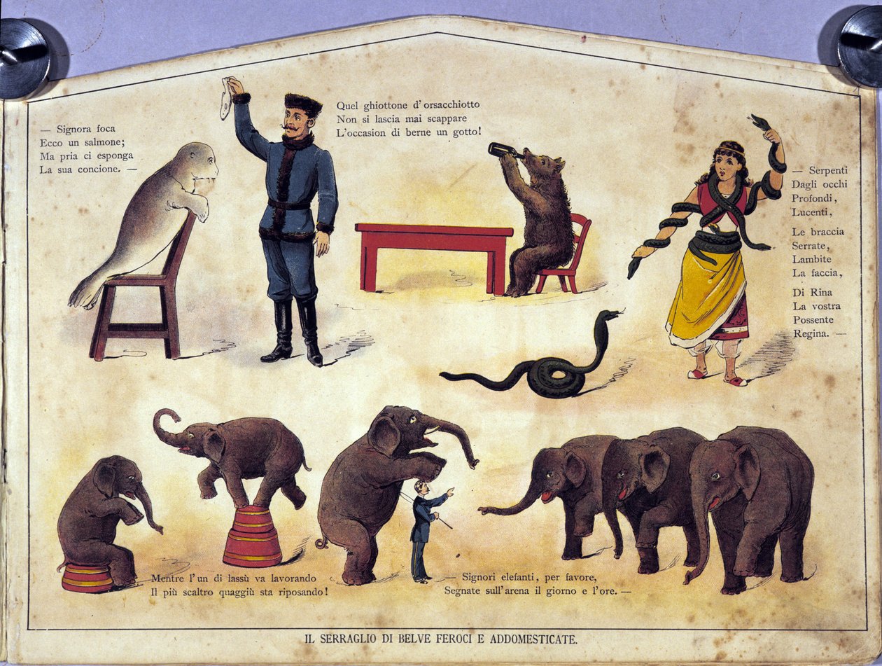 Cirkus: deska představující různé typy představení učených zvířat s tuleni, slony, medvědy, hady. Ilustrace 19. století od Unknown artist