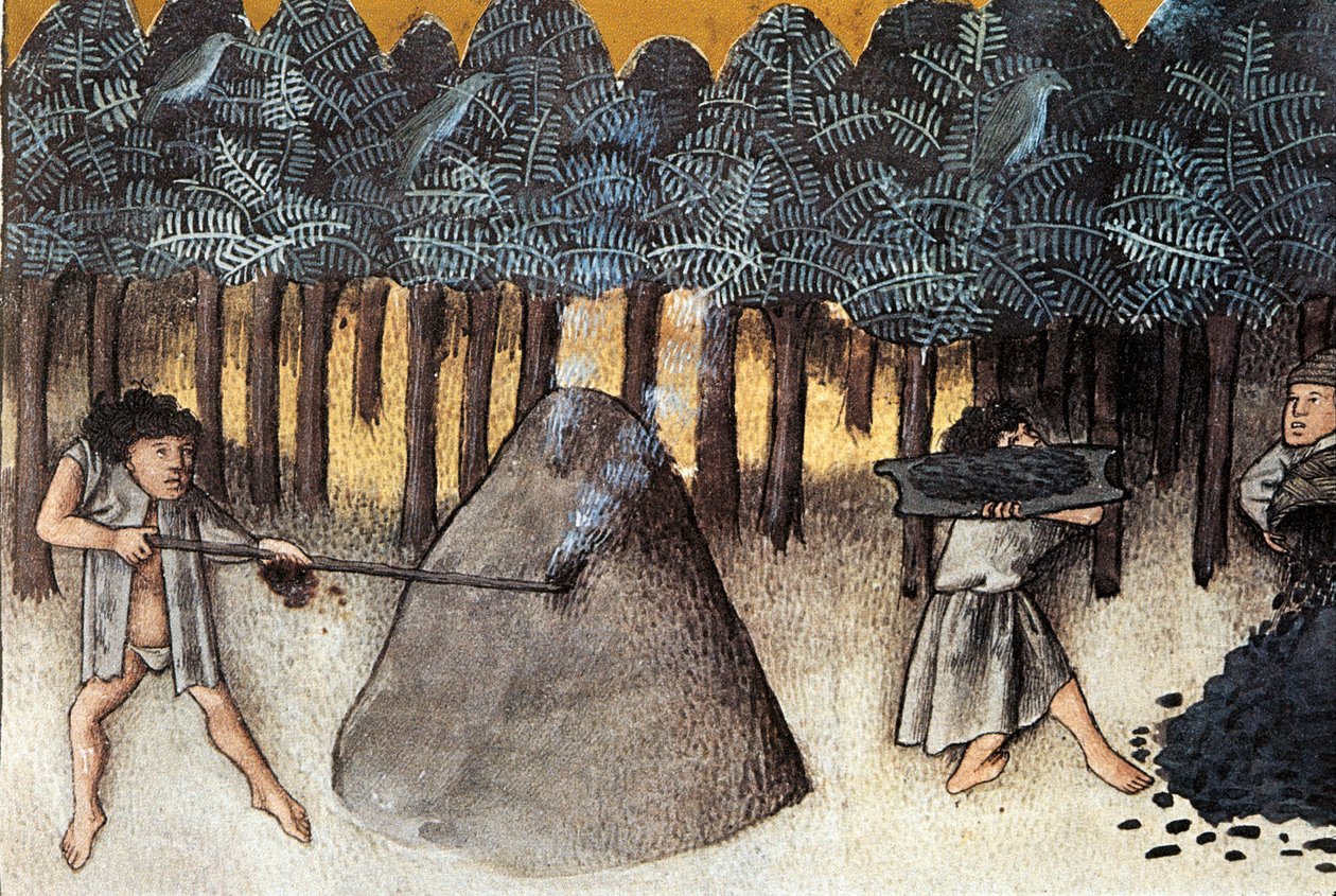Těžba uhlí, miniatura převzatá z De natura rerum, Thomas de Cantimpre (1201-1272) Granada ze 13. století. Univerzitní knihovna od Unknown artist