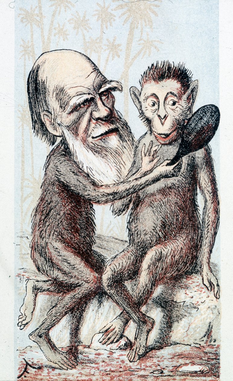 Komedie čerpající z Darwinovy teorie – v „London Sketchbook“ od Unknown artist