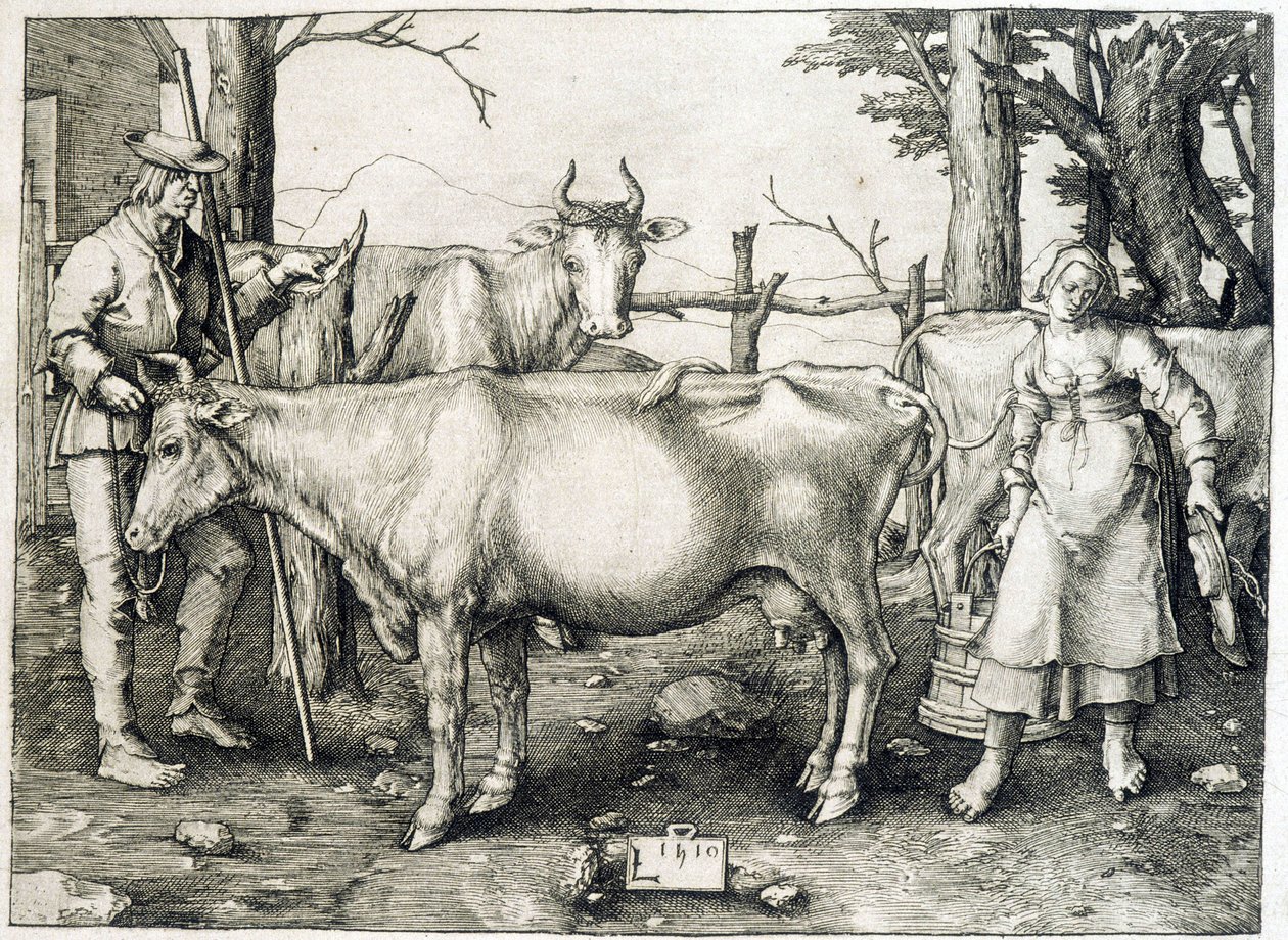 Kryt a mlékárna v Holandsku od Unknown artist