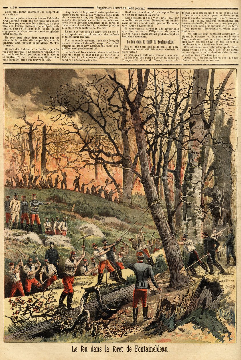 Trestní požár v lese Fontainebleau. Rytina v „“ Le petit journal““ 22/04/1893. Selva sbírka. od Unknown artist