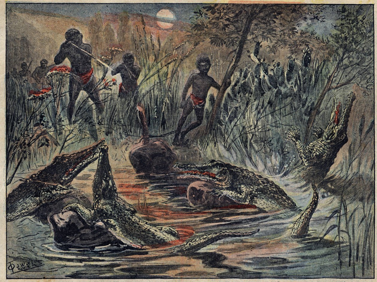 Krokodýl loví v Nigeru s dítětem na návnadu. Ilustrace v „“Le Pelerin“ ze 4. prosince od Unknown artist
