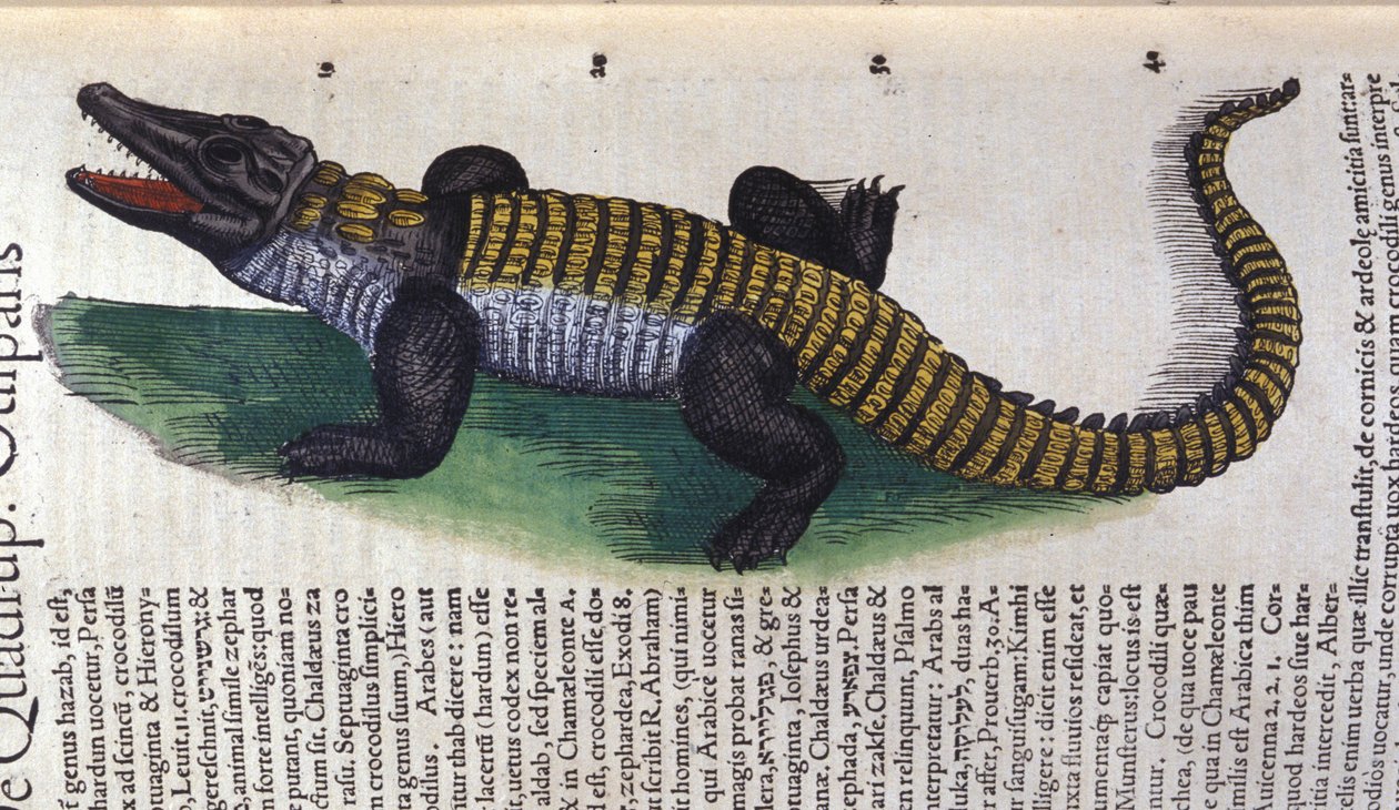 Krokodýl. v Historia Animalium od Conrada Gesnera (1516 - 1565), Tiguri od Unknown artist