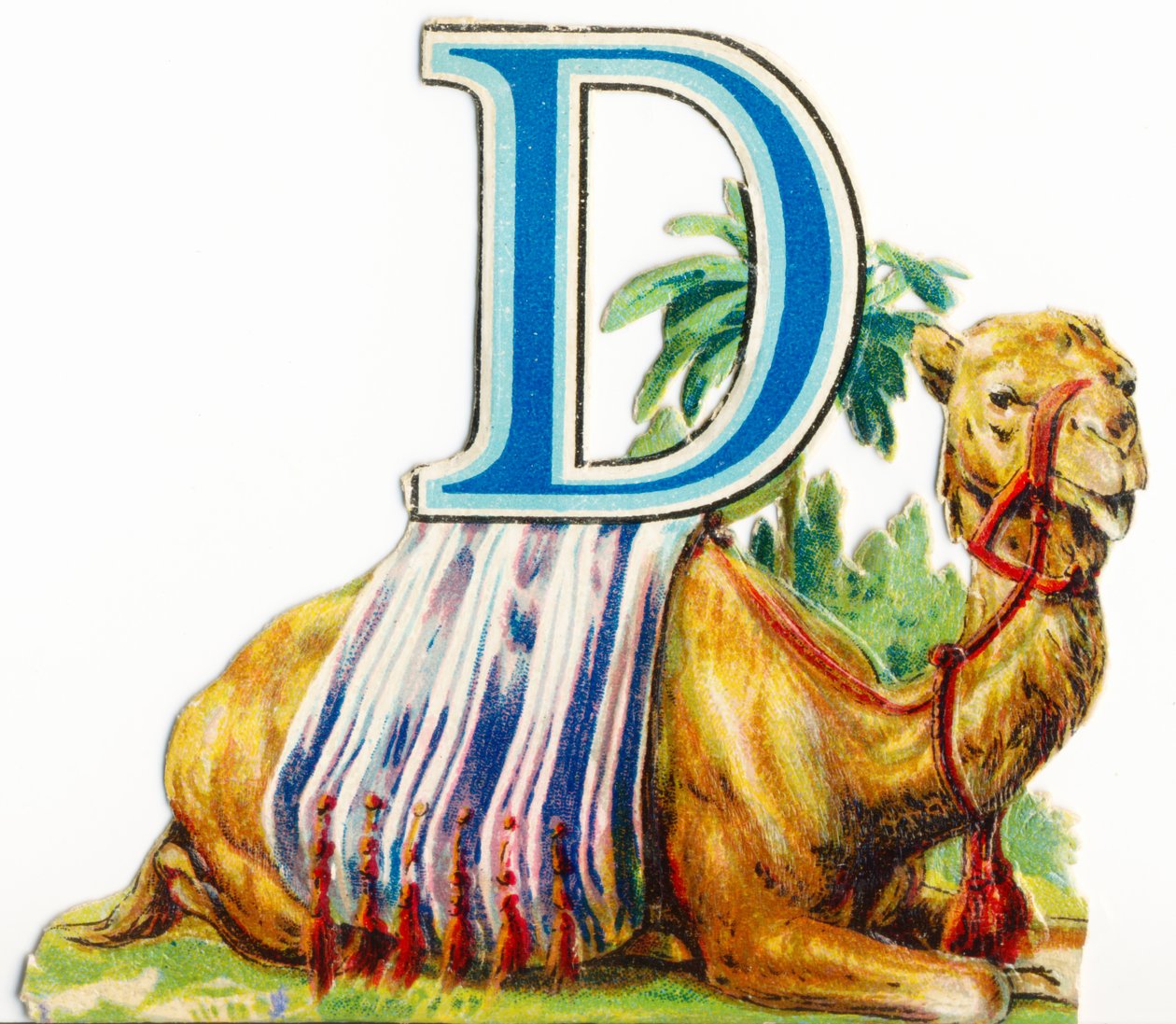 D: Dromedář od Unknown artist
