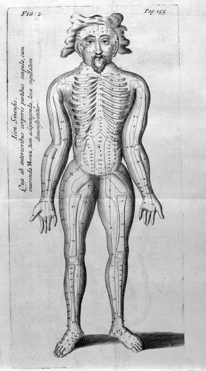 De Acupunctura od W. Ten Rhijna. Londýn 1683. První západní text zabývající se akupunkturou. od Unknown artist