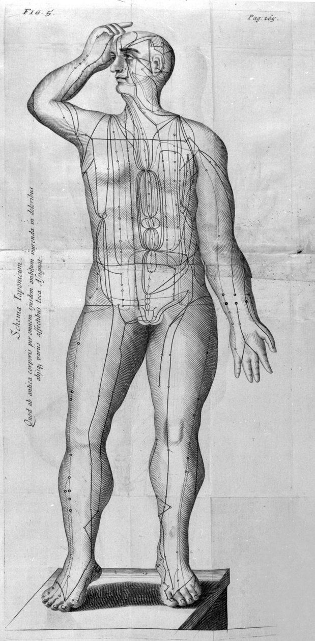 De Acupunctura od W. Ten Rhijna. Londýn 1683. První západní text zabývající se akupunkturou. od Unknown artist