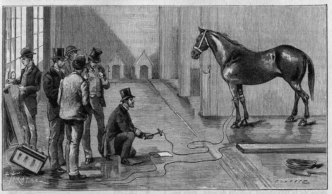 Smrt elektřinou: kůň zabíjí elektřinou během experimentu prováděného v laboratoři Edison, Orange (Spojené státy americké). Rytina v „“ La Nature: revue des sciences et de leurs applications aux arts et a l