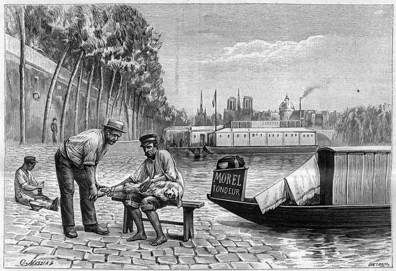 Stříhání psů u mostu Solferino v Paříži – rytina „La nature““ z roku 1892. od Unknown artist