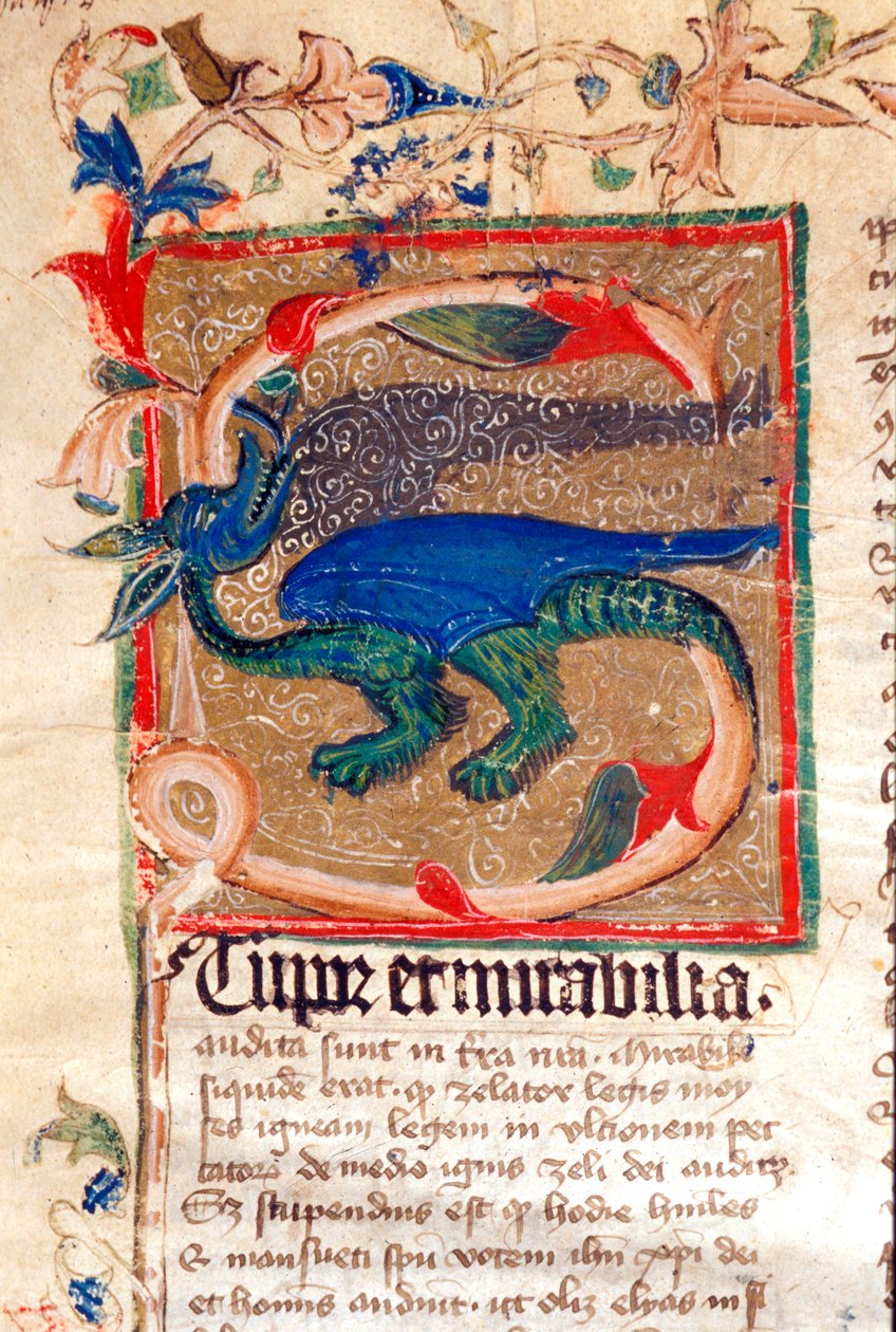 Dragon Decoree Lettrine Detail rukopisu 14. století od Unknown artist