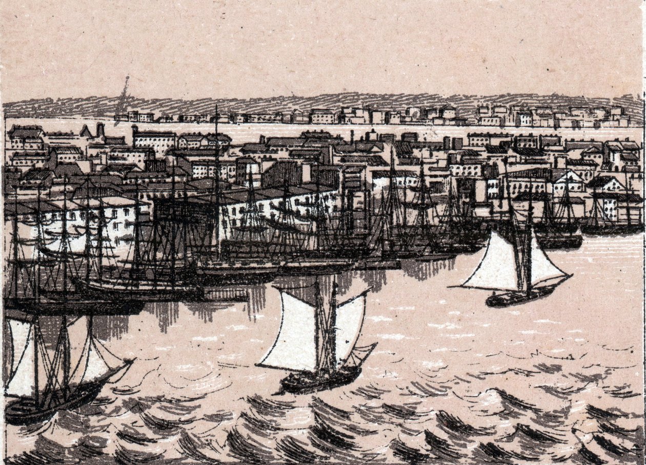 East River a New York ve Spojených státech v „Svět ilustruje 168 pohledů““ Nedatováno (konec 19. století) od Unknown artist