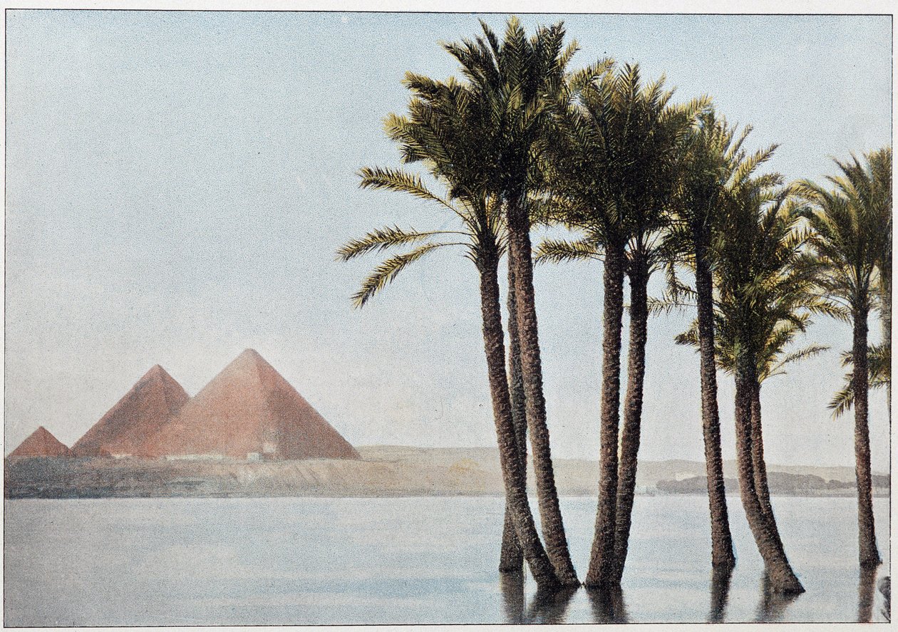 Egypt: potopa Nil a pyramidy v Gíze (Gizeh, Gizeh, Gíza). od Unknown artist