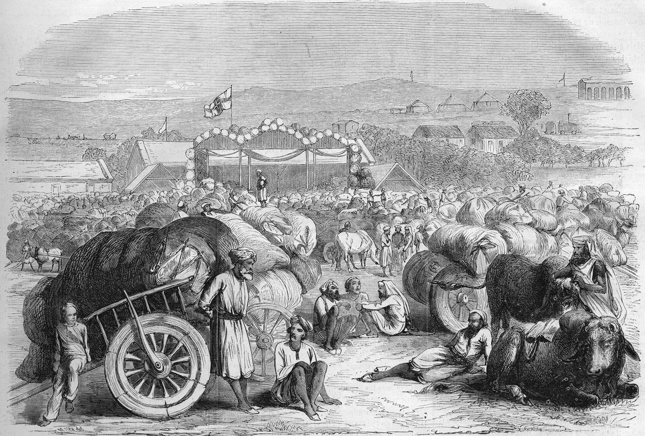 Anglická Indie 1872: Trh s bavlnou v Khangaonu. od Unknown artist