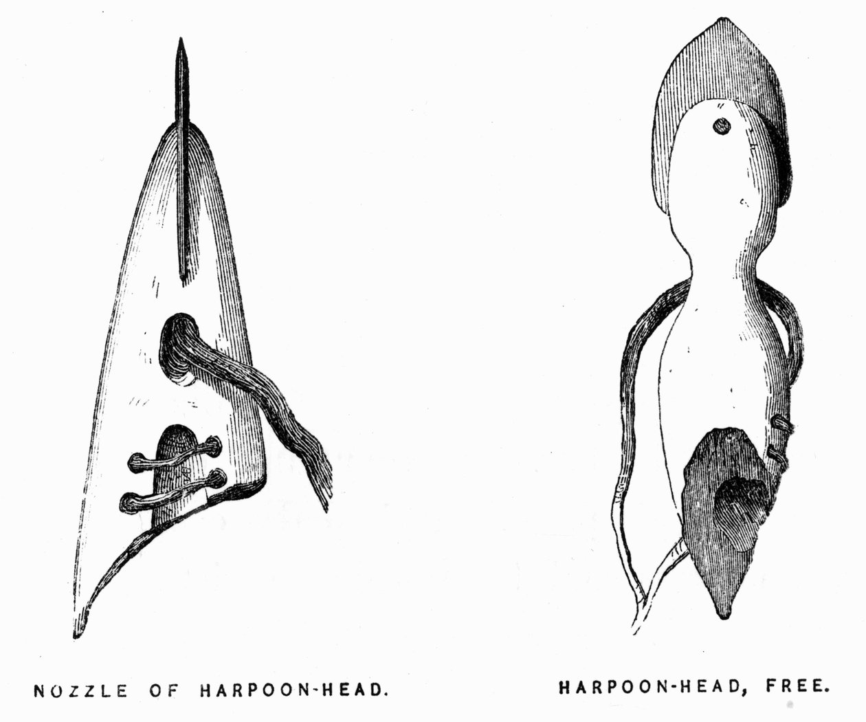 Eskymácké harpuny - Elisha Kent Kane, Artic Exploration v letech 1853-1855, Philadelphia, Childs a Peterson od Unknown artist
