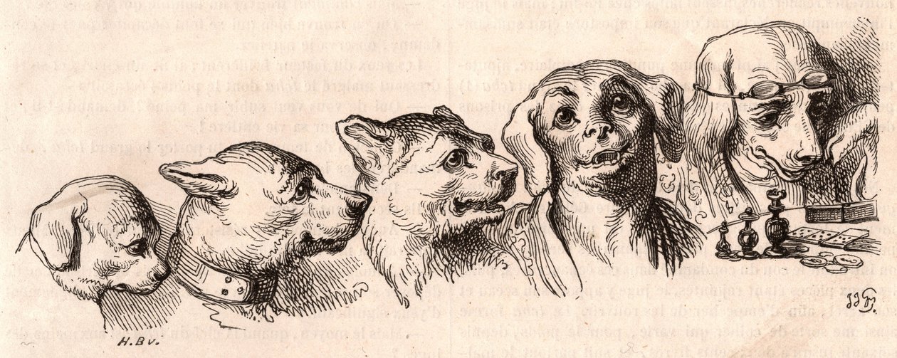 Evoluce psa do lidské podoby od Unknown