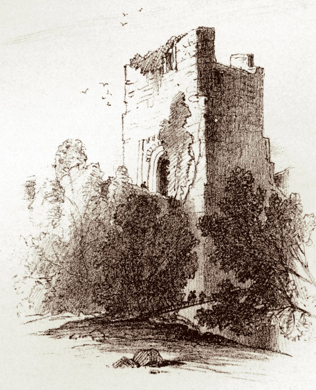Hrad Farnham (rytina) od Unknown artist