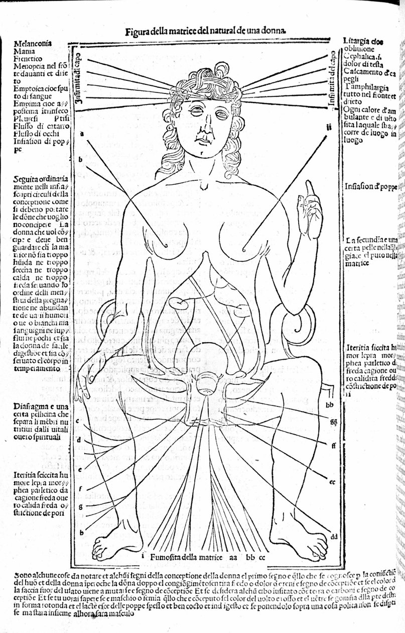 Ženský reprodukční aparát - v Treatise of Medicine od Gerolama Cardana (Cardano) (Cardanus Hieronymus), Florencie 1585. od Unknown artist