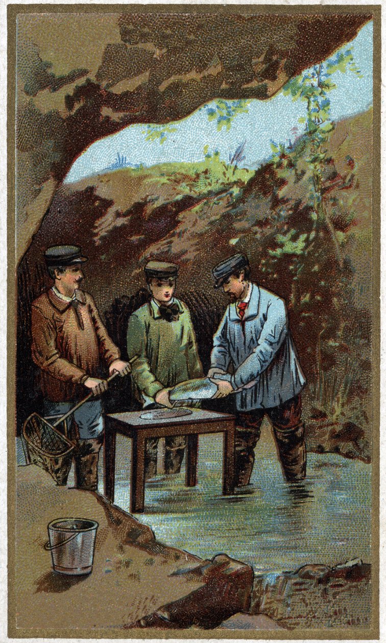 Chov ryb: umělá snůška. Chromolitografie z konce 19. století od Unknown artist