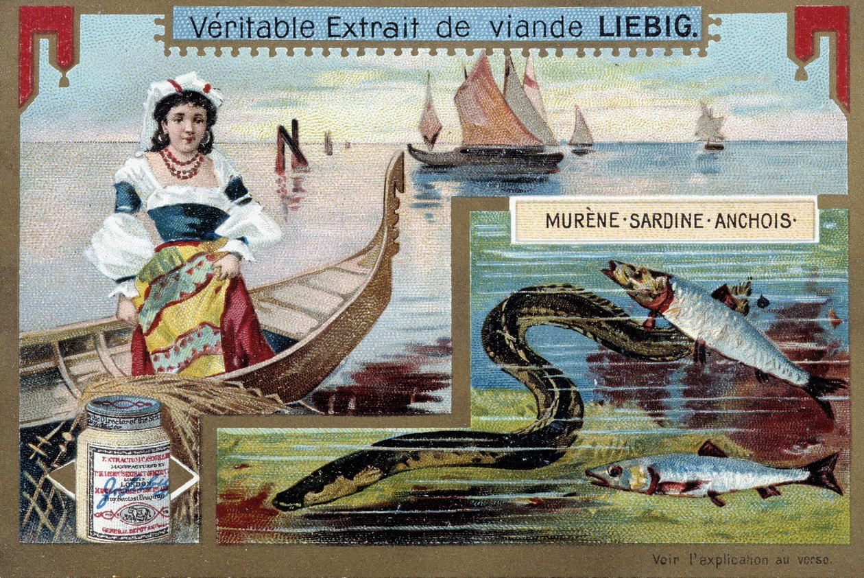 Rybářské lodě a ryby (murény, sardinky, ančovičky) - chromo. Liébig, v. 1900 od Unknown artist