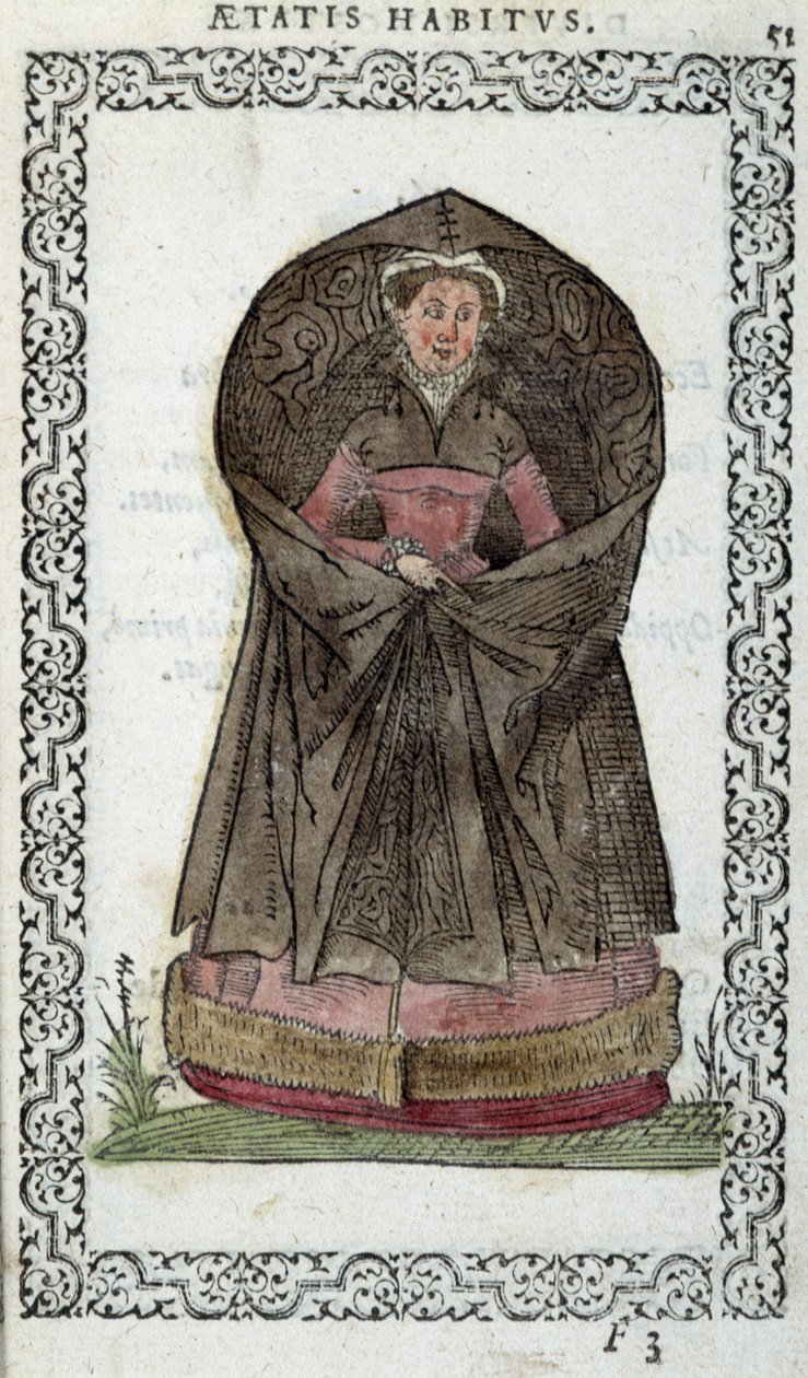 Vlámská Demoiselle - v „“Habits et effigies”” od Jeana Sulperiuse od Unknown artist