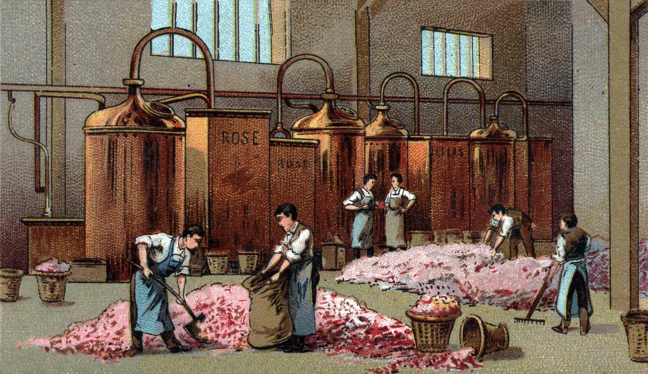 Květinový lihovar na výrobu benzinu a vody Květin. Chromolitografie konce 19. století od Unknown artist