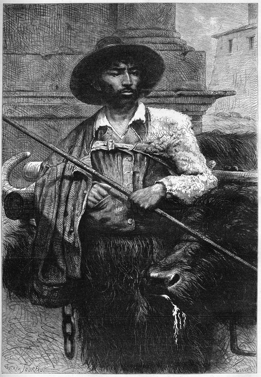 Bývalý farmář: řidič buvolů (chov buvolů pro mozzarellu) Rytina v „“The Illustrous World““ od Unknown artist