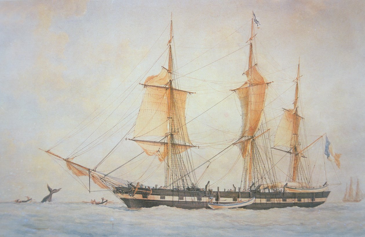 Francouzská velrybářská loď, kolem roku 1845 (barevné lito) od Unknown artist
