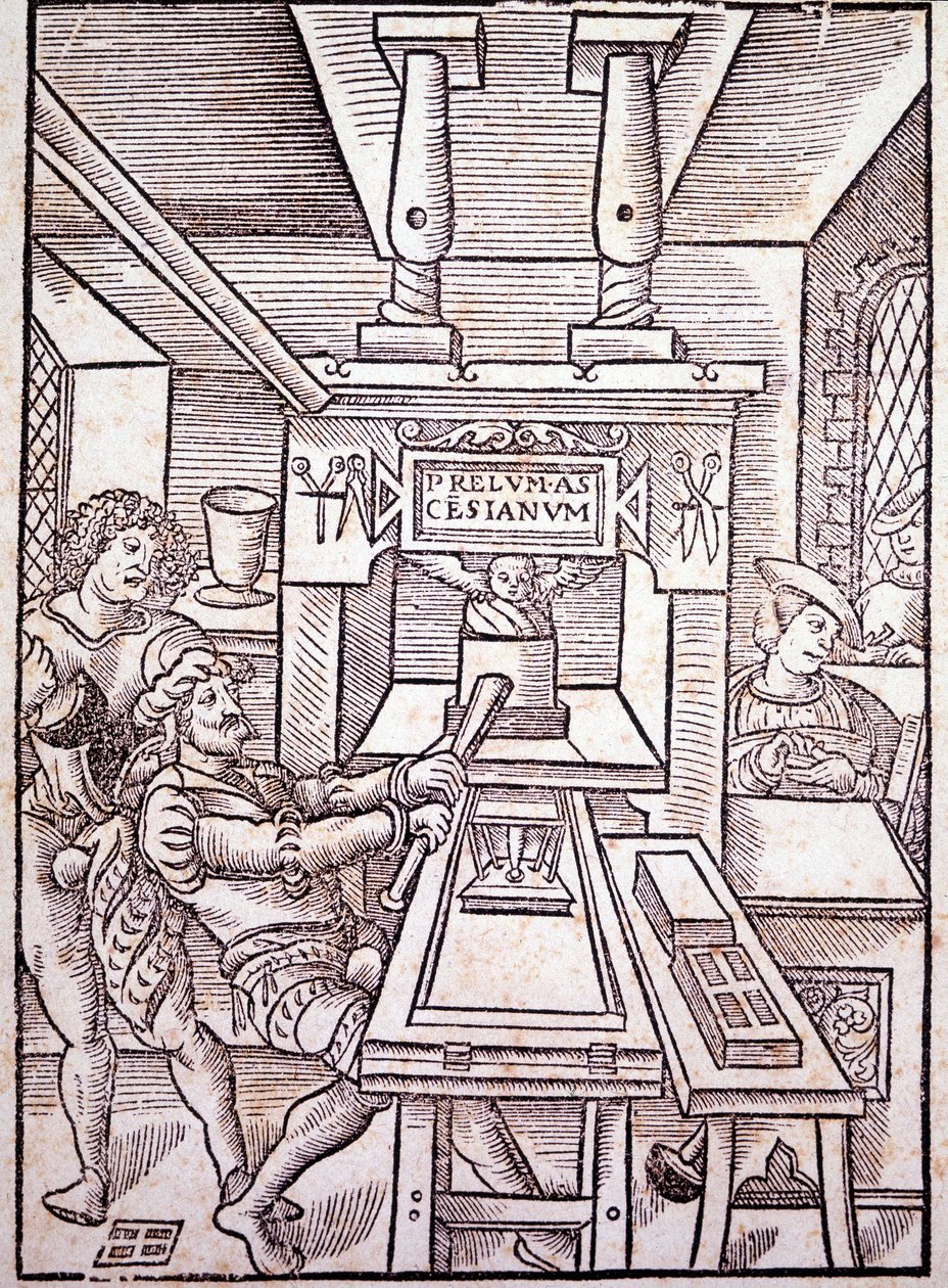 francouzský tisk. 16. století. od Unknown artist