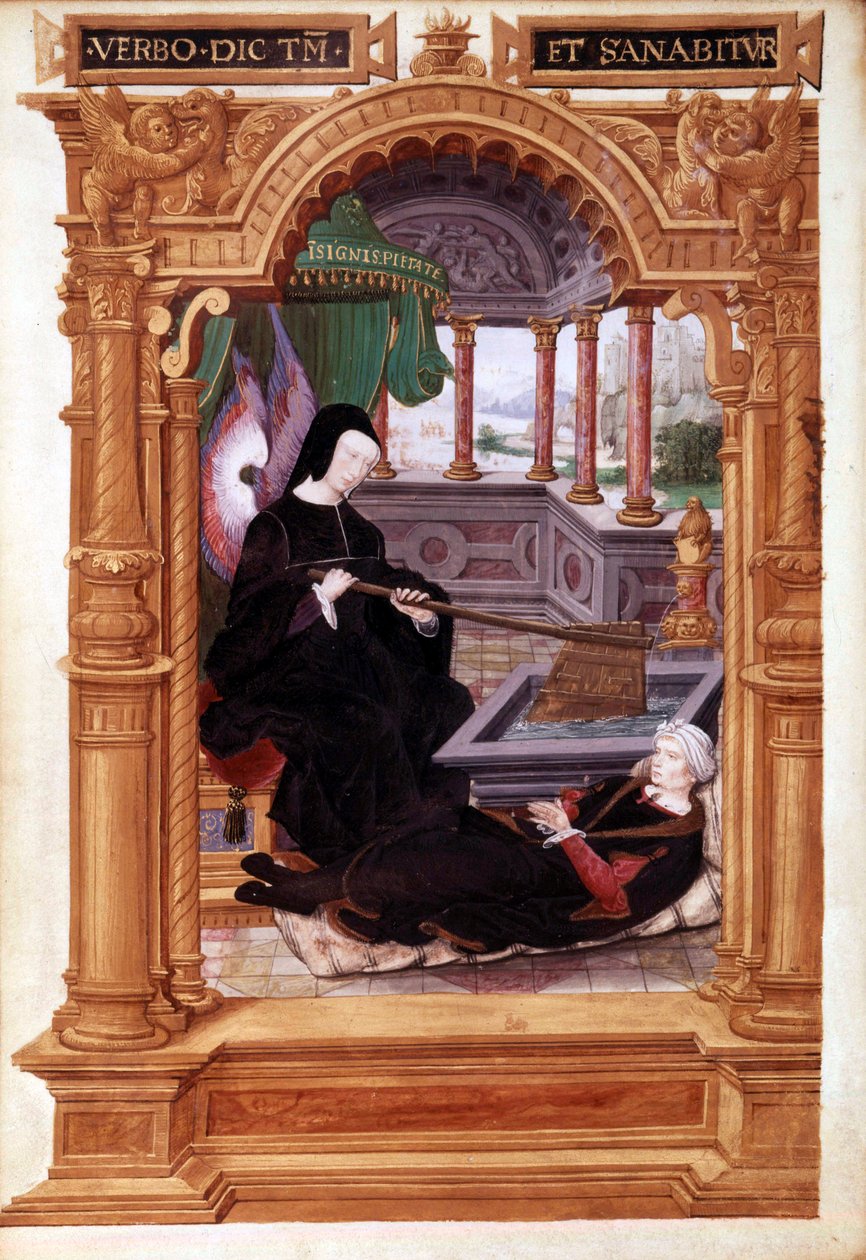 Francouzská královna Luisa Savojská od Unknown artist