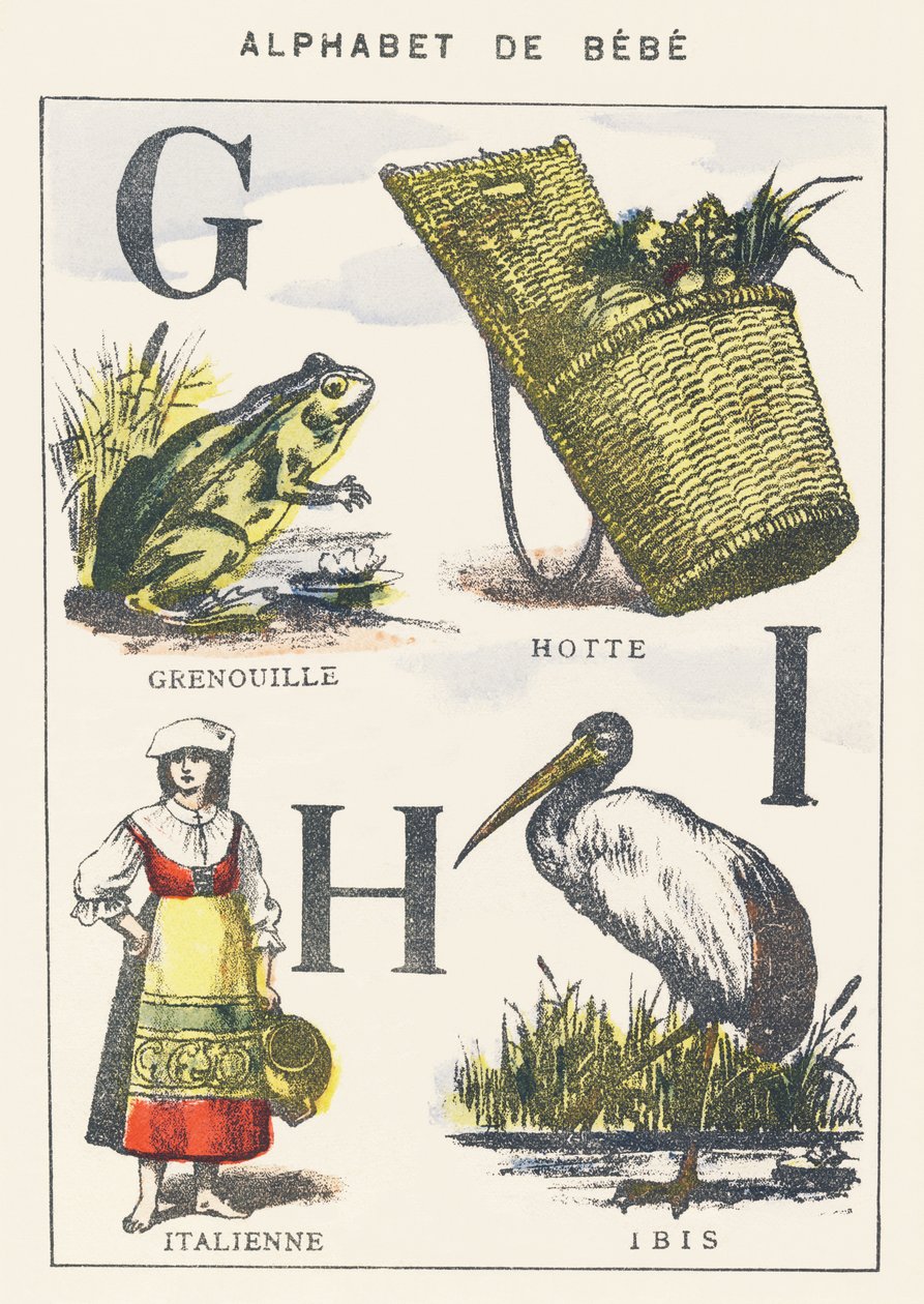 G H I: žába, kapuce, italština, ibis od Unknown artist