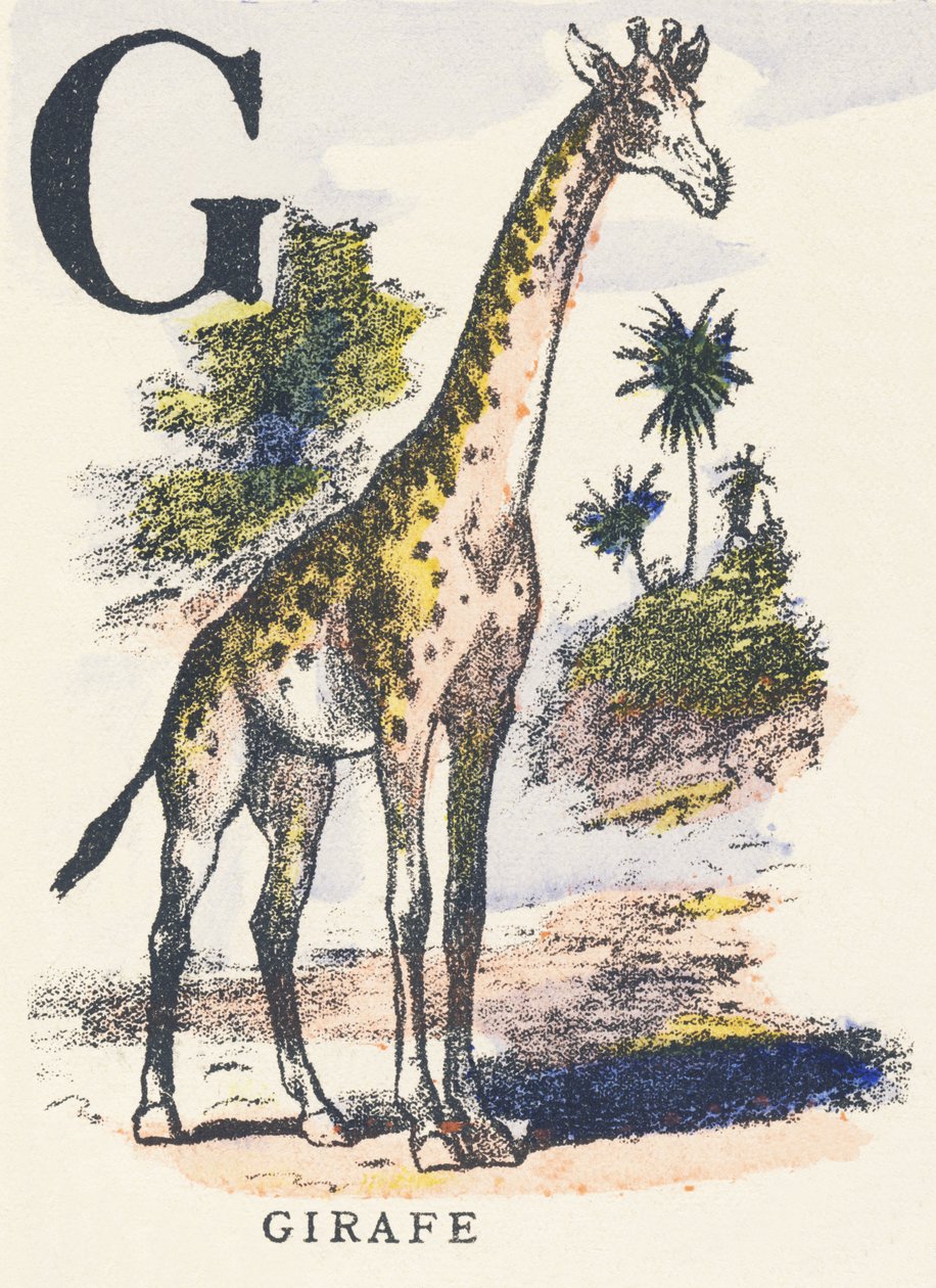 G: žirafa od Unknown artist
