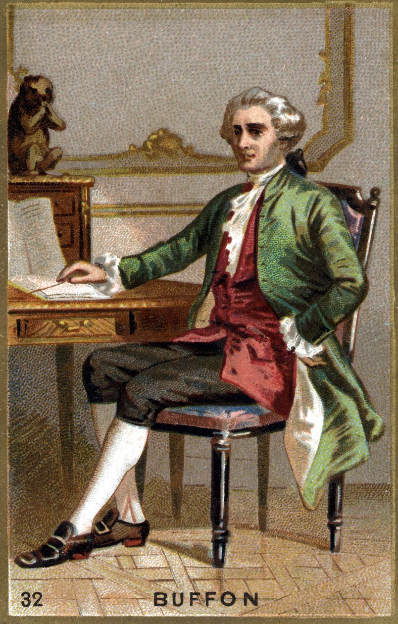 Georges Louis Leclerc, hrabě z Buffonu (1707 - 1788). Chromolitografie 19. století. od Unknown artist