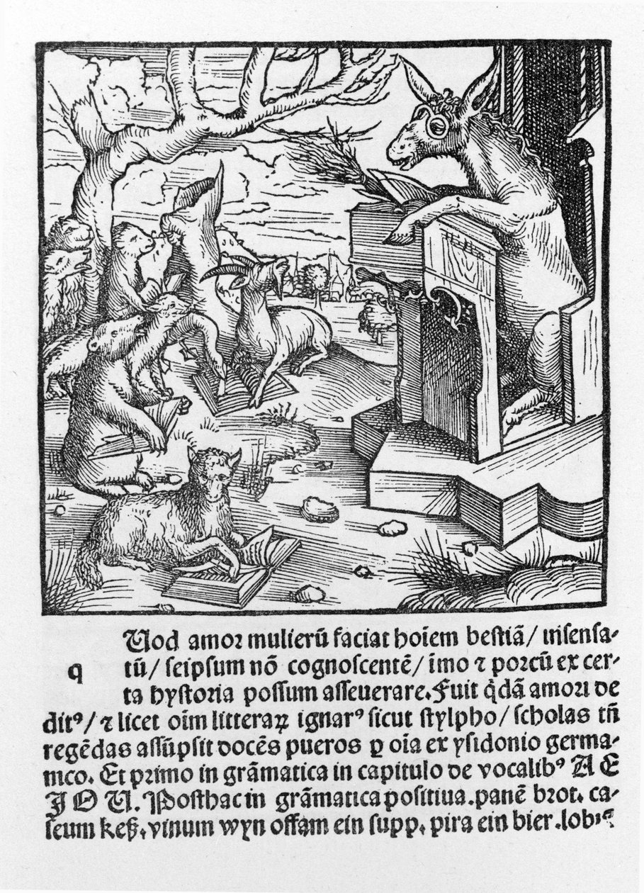 Německý inkunitus zobrazující osla učícího třídu lesních zvířat. 1490. od Unknown artist