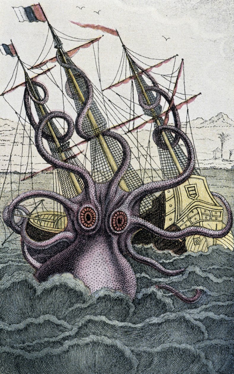 Obří chobotnice (Kraken) útočící na loď – z Denys-Montfort v „Histoire naturelle des mollusques“, Paříž od Unknown artist