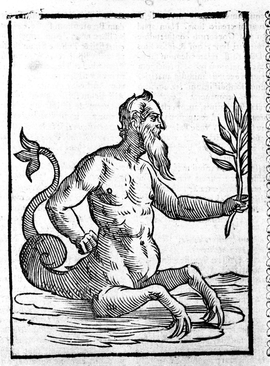 Glaucos s kouzelnou trávou, která mu umožní žít v moři - v Mythologiae sive explainum fablerum de Natalis Comitis. Patavia od Unknown artist