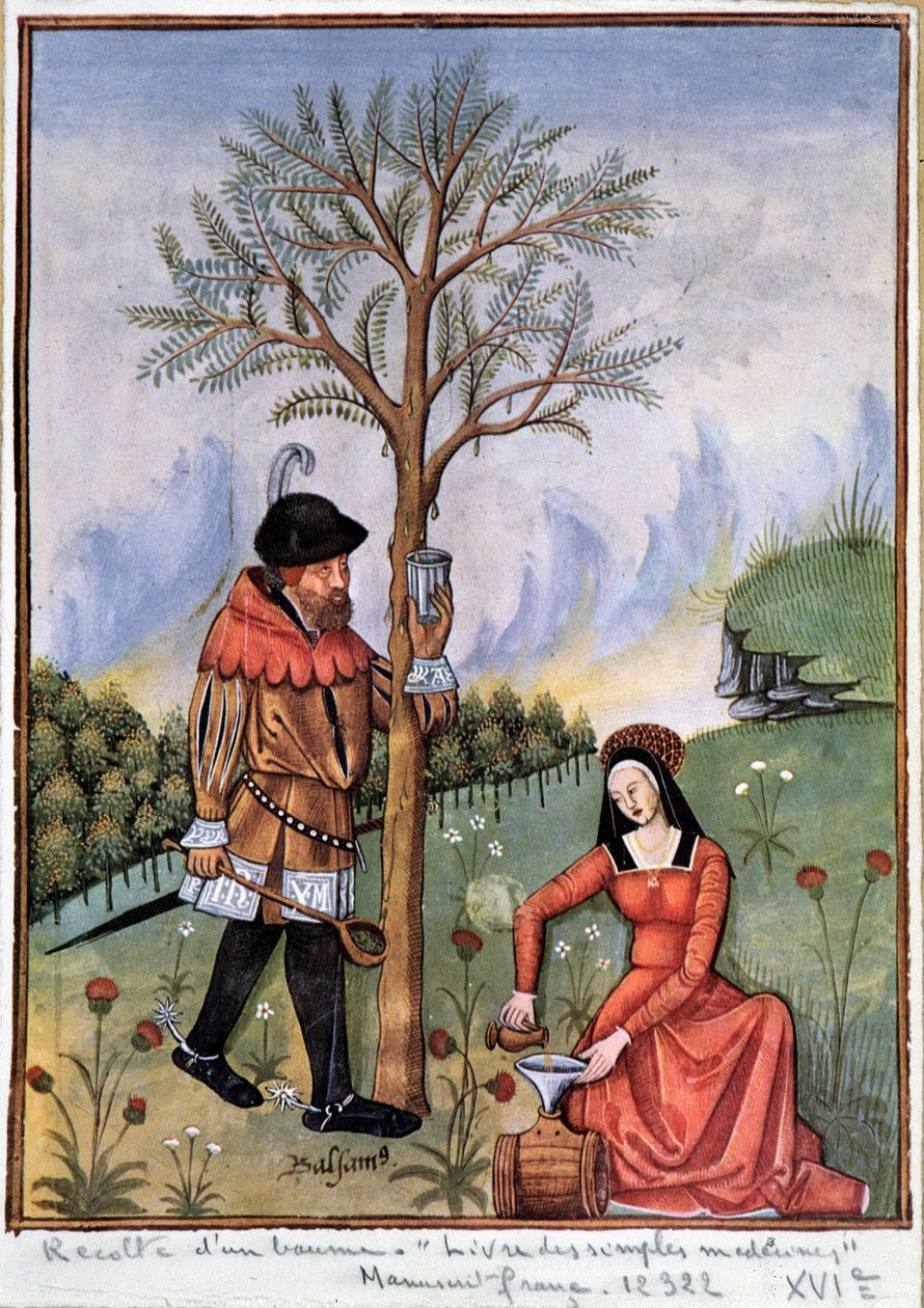 Sklizeň balzámu - Kniha jednoduchých léků od Unknown artist