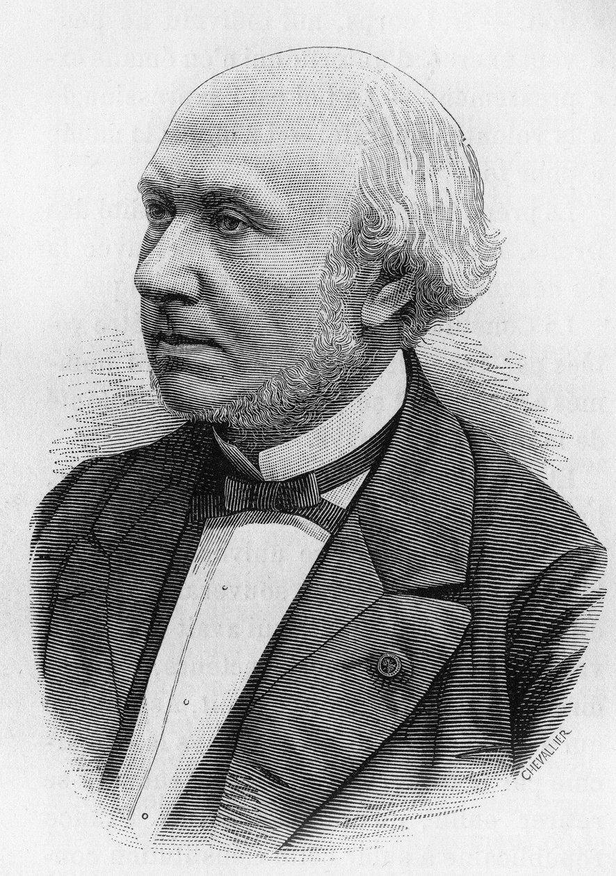 Henri Wallon (1812 - 1904), francouzský historik a politik. od Unknown artist
