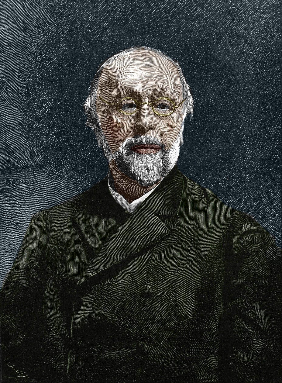 Hippolyte Taine (1828-1893), francouzský filozof a historik. od Unknown artist