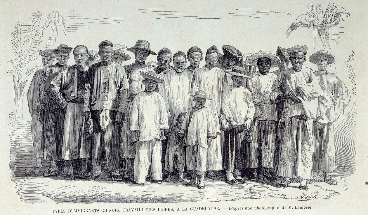 Historie francouzských kolonií: Čínští přistěhovalci pracující na Guadeloupe. Kresba podle fotografie Chartres musee des Beaux Arts z konce 19. století od Unknown artist