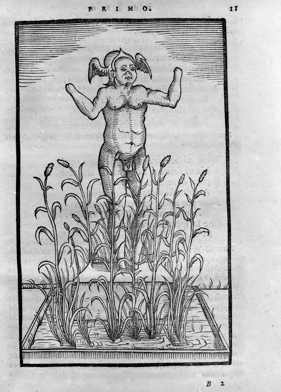 Homme sans bras – v „The Transmutatione Metallica Sogni Tre“ od Giovanniho Battisty Nazariho, editovaném v Brescii v roce 1599 od Unknown artist