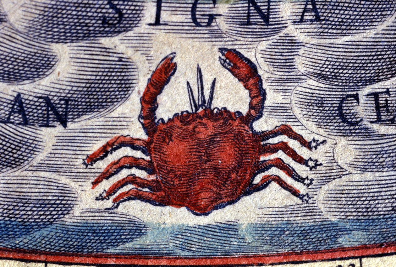 Horoskop: znamení zvěrokruhu, Rak. rytina 16. století. od Unknown artist