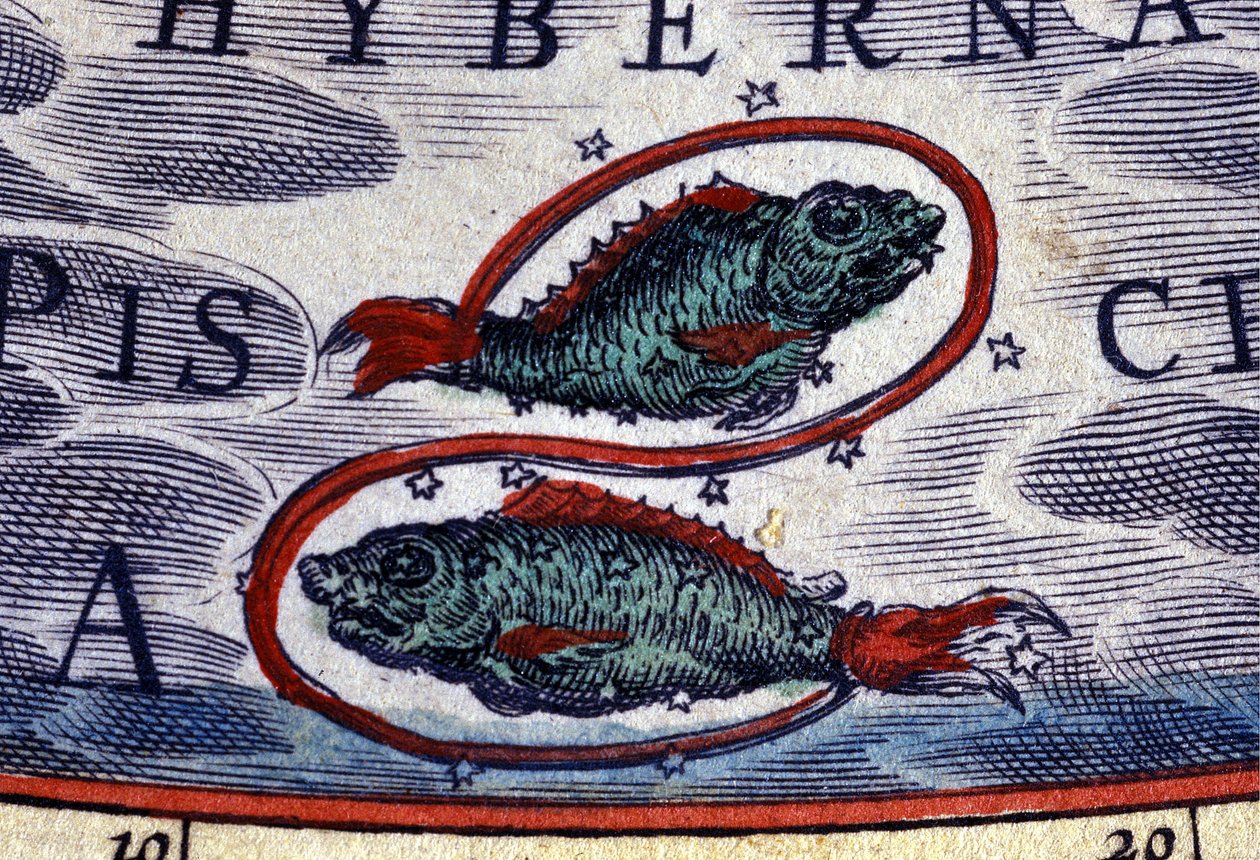 Horoskop: znamení zvěrokruhu, Ryby. rytina 16. století. od Unknown artist